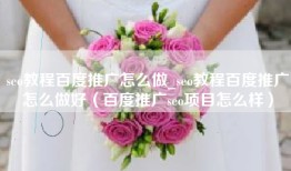 seo教程百度推广怎么做_seo教程百度推广怎么做好（百度推广seo项目怎么样）