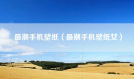 最潮手机壁纸（最潮手机壁纸女）