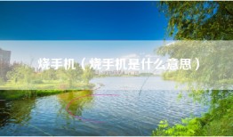 烧手机（烧手机是什么意思）
