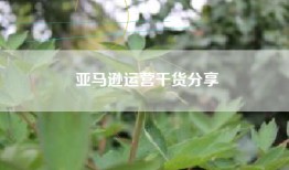亚马逊运营干货分享