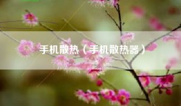 手机散热（手机散热器）