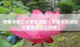 苹果手机怎样更新微信（苹果手机微信不能更新怎么回事）