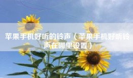 苹果手机好听的铃声（苹果手机好听铃声在哪里设置）