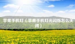 苹果手机灯（苹果手机灯光闪烁怎么关闭）