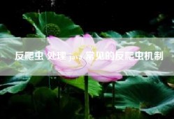 反爬虫 处理 java 常见的反爬虫机制