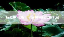 反爬虫 处理 java 常见的反爬虫机制