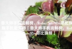 鲁大师手机流畅榜，Redmi Note9Pro堪比旗舰手机鲁大师「鲁大师手机流畅榜，Redmi Note9Pro堪比旗舰」