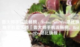 鲁大师手机流畅榜，Redmi Note9Pro堪比旗舰手机鲁大师「鲁大师手机流畅榜，Redmi Note9Pro堪比旗舰」