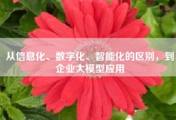 从信息化、数字化、智能化的区别，到企业大模型应用