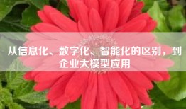 从信息化、数字化、智能化的区别，到企业大模型应用