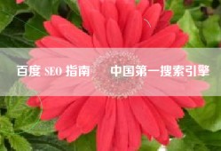 百度 SEO 指南 – 中国第一搜索引擎