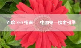 百度 SEO 指南 – 中国第一搜索引擎