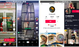 全球短视频革命中的TikTok：商业机会与创作秘籍剖析