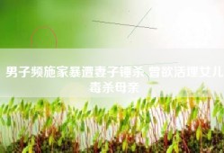 男子频施家暴遭妻子锤杀 曾欲活埋女儿毒杀母亲