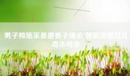 男子频施家暴遭妻子锤杀 曾欲活埋女儿毒杀母亲