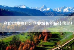 竞价付费推广：企业增长的最佳伙伴！