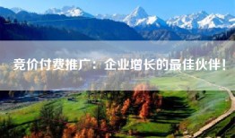 竞价付费推广：企业增长的最佳伙伴！