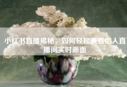 小红书直播揭秘，如何轻松查看他人直播间实时画面