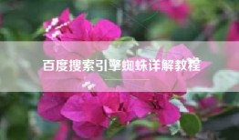 百度搜索引擎蜘蛛详解教程