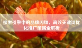 搜索引擎中的品牌闪耀，高效关键词优化推广策略全解析
