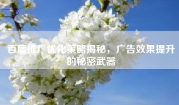 百度推广优化策略揭秘，广告效果提升的秘密武器