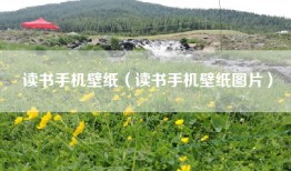 读书手机壁纸（读书手机壁纸图片）
