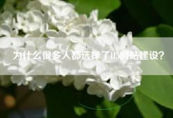 为什么很多人都选择了H5网站建设？