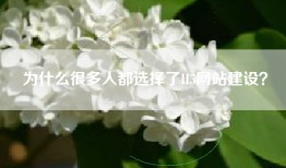为什么很多人都选择了H5网站建设？