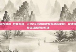 晓悦神器 批量剪辑，2024年微信视频号涨粉策略：快速提升关注的有效方法