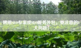 聘用SEO专家或SEO服务外包，要注意的8大问题！