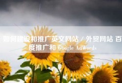 如何建设和推广英文网站／外贸网站 百度推广和 Google AdWords