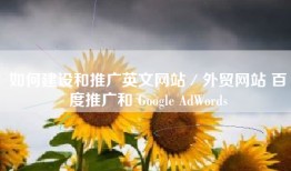 如何建设和推广英文网站／外贸网站 百度推广和 Google AdWords