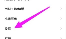 小米手机投屏到电脑上怎么操作win10？小米手机怎么投屏到电脑「小米手机投屏到电脑上怎么操作win10？」