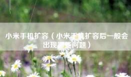 小米手机扩容（小米手机扩容后一般会出现哪些问题）