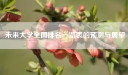 未来大学全国排名一览表的预测与展望