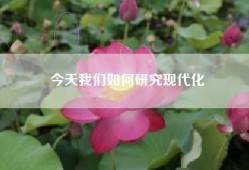 今天我们如何研究现代化