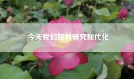 今天我们如何研究现代化