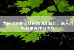 为何 SEO 必须从白帽 SEO 做起，深入剖析其重要性与优势
