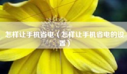 怎样让手机省电（怎样让手机省电的设置）