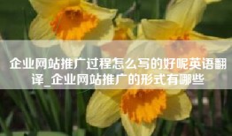 企业网站推广过程怎么写的好呢英语翻译_企业网站推广的形式有哪些