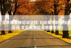 北京美发师培训学校-北京美发职业技能培训-北京美发培训班哪家好