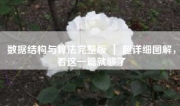 数据结构与算法完整版 ｜ 超详细图解，看这一篇就够了