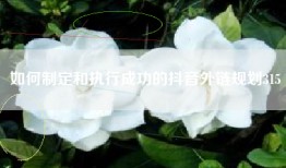 如何制定和执行成功的抖音外链规划315