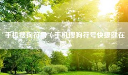 手机搜狗符号（手机搜狗符号快捷键在哪）