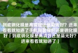 到底钢化膜是高清好还是蓝光好？进来看看就知道了手机原装膜好还是钢化膜好「到底钢化膜是高清好还是蓝光好？进来看看就知道了」