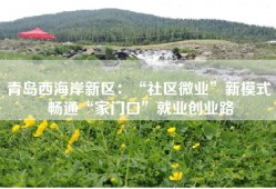 青岛西海岸新区：“社区微业”新模式 畅通“家门口”就业创业路