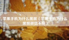 苹果手机为什么黑屏（苹果手机为什么黑屏微信不响）