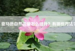 亚马逊自然流量怎么提升？有哪些方法？