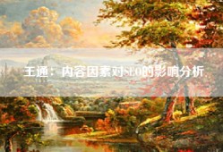 王通：内容因素对SEO的影响分析