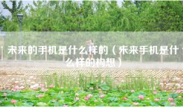 未来的手机是什么样的（未来手机是什么样的构想）